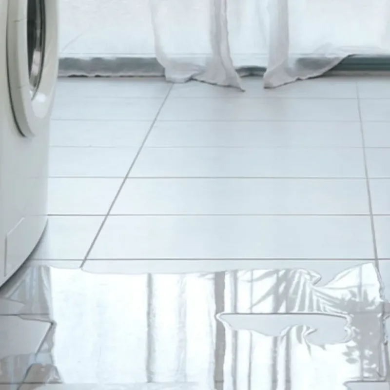 Appliance Leak Cleanup in Madison Heights, MI