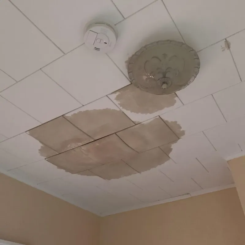 Ceiling Water Damage Repair in Madison Heights, MI
