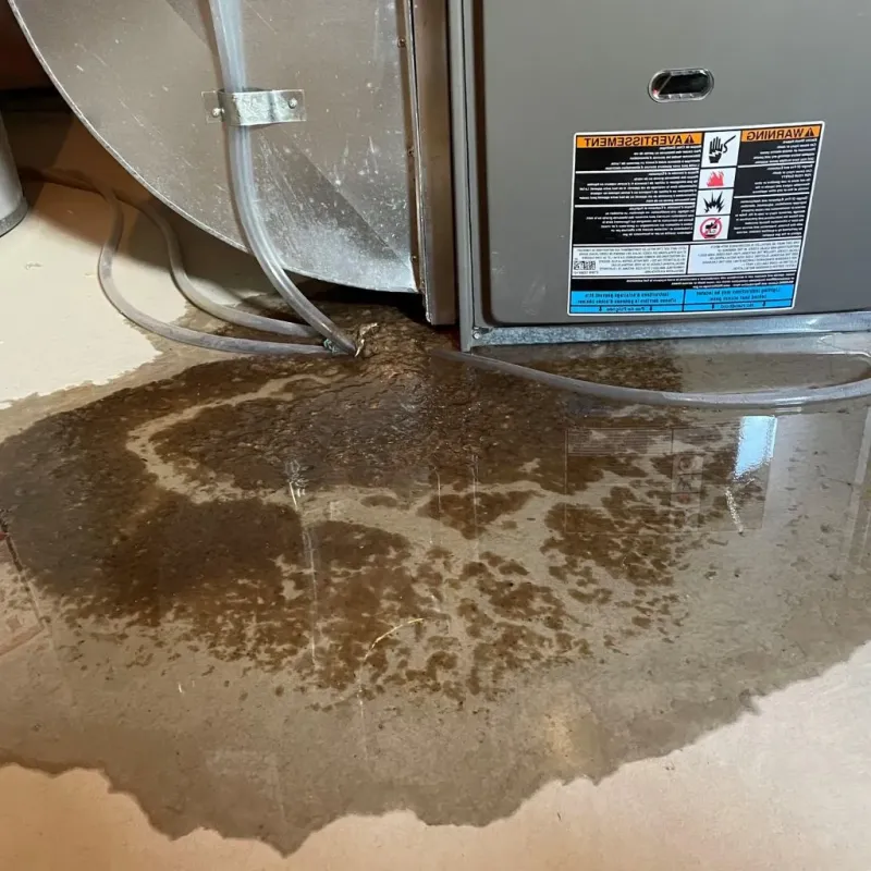 Pipe Burst and Leak Restoration in Madison Heights, MI